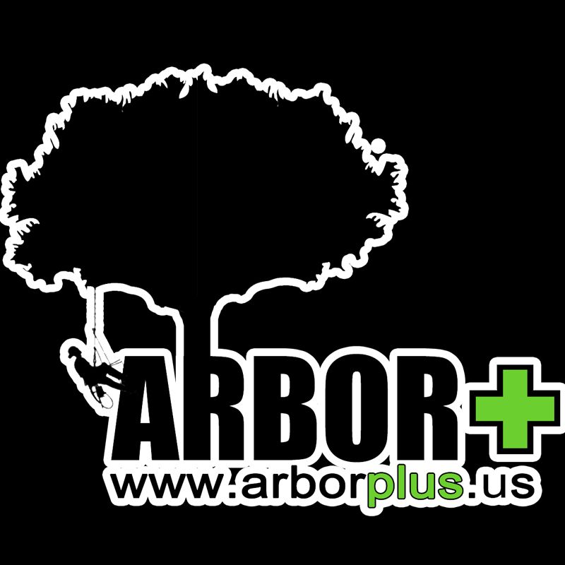 ARBOR+